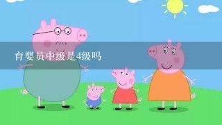 育婴员中级是4级吗