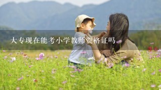 大专现在能考小学教师资格证吗