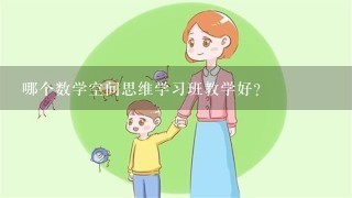 哪个数学空间思维学习班教学好？