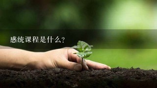 感统课程是什么？