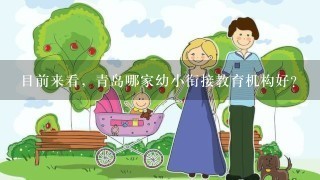 目前来看，青岛哪家幼小衔接教育机构好？