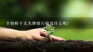 羊奶粉十大名牌排行榜选什么呢？