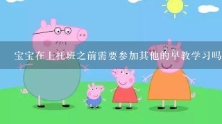 宝宝在上托班之前需要参加其他的早教学习吗？有这个必要吗？好心人说说