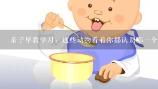 亲子早教学习：这些动物看看你都认识哪一个