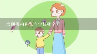 培训机构和私立学校哪个好