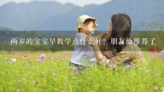 两岁的宝宝早教学点什么好？朋友给推荐了莔课堂的早教视频，怎么样呀？