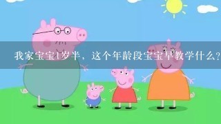 我家宝宝1岁半，这个年龄段宝宝早教学什么？